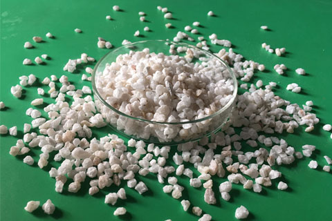 ̼��� ̼�������